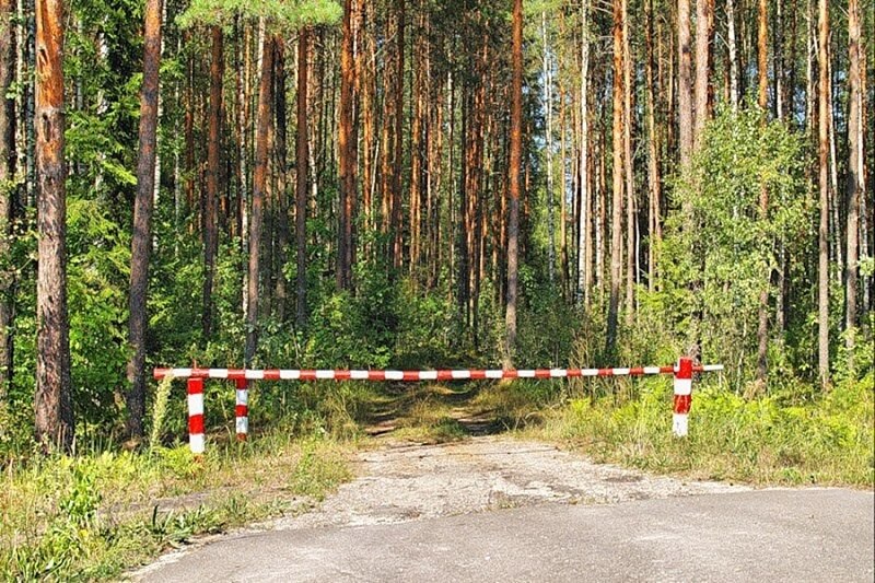 Запрет на посещение лесов